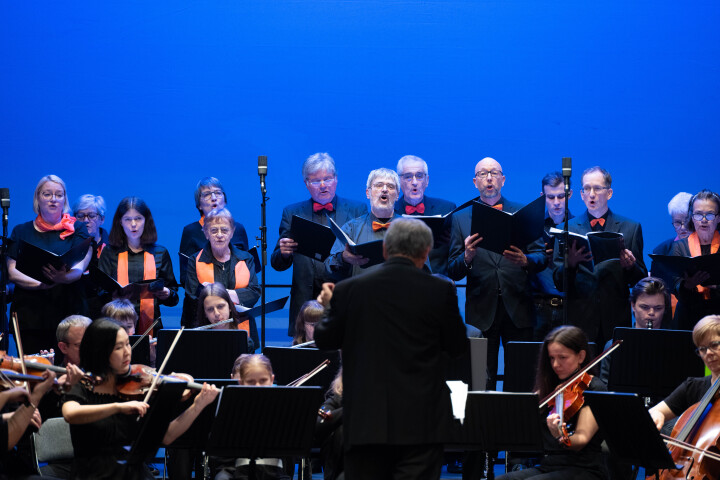 Musikalisches Zwischenspiel des Kammerchors und des Kammerorchesters der Kreismusikschule Oberspreewald-Lausitz.