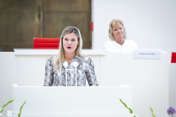 Laudatio der Abgeordneten Martina Maxi Schmidt (SPD-Fraktion)