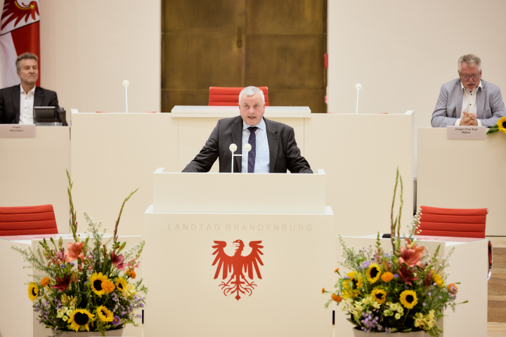Laudatio des Abgeordneten Michael Hanko (AfD-Fraktion)
