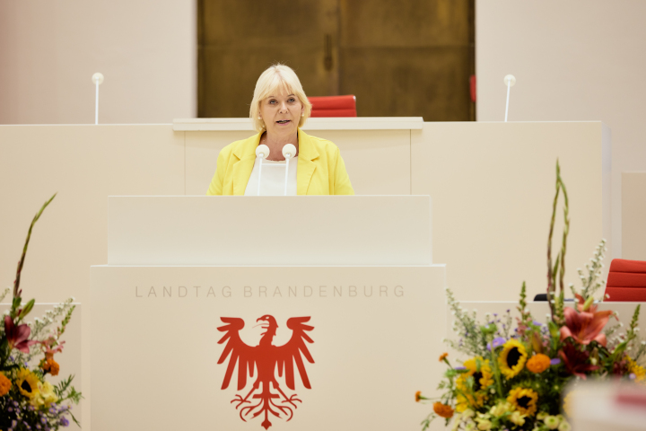 Laudatio der Landtagspräsidentin Prof. Dr. Ulrike Liedtke