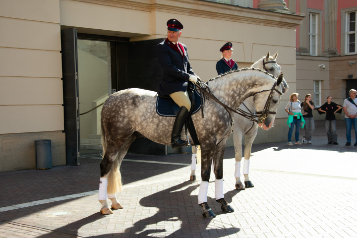 Reiter und Pferde des Landgestüts Neustadt (Dosse) im Innenhof des Landtages