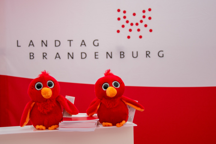 Impression des Brandenburg-Tages 2023 in Finsterwalde