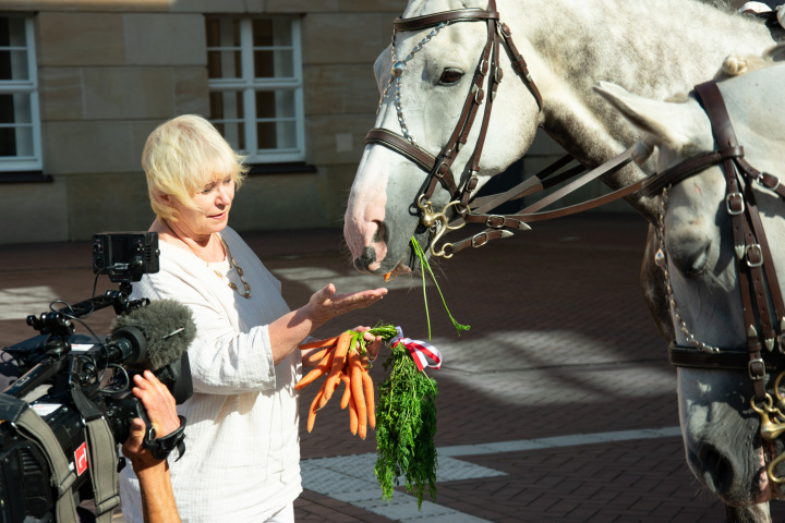 Landtagspräsidentin Prof. Dr. Ulrike Liedtke füttert die Pferde des Landgestüts Neustadt (Dosse) im Innenhof des Landtages