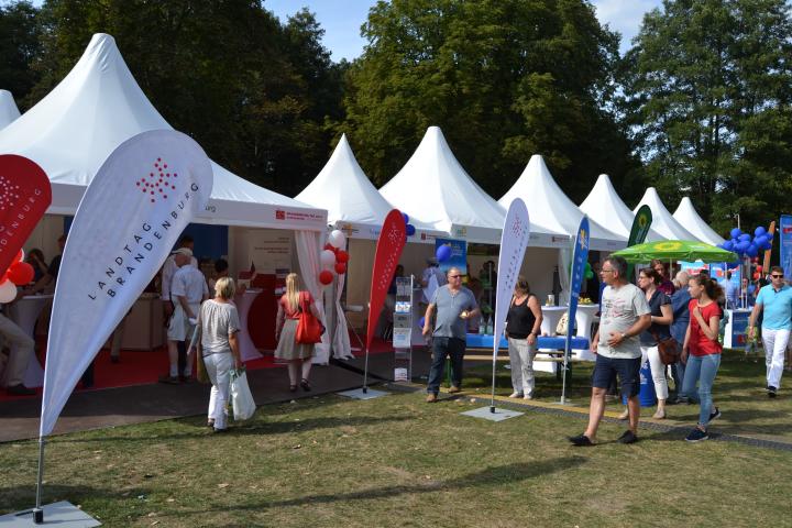 Impression des BRANDENBURG-TAG 2016 in Hoppegarten