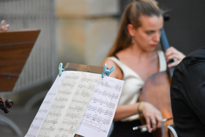 Angela Zamorano Tardon (Violincello)