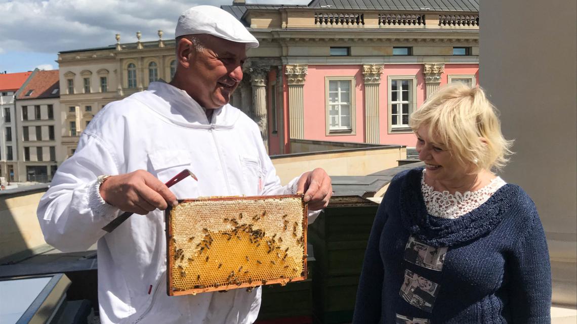 Imker Holger Ackermann (l.) hat im Beisein der Landtagspräsidentin Prof. Dr. Ulrike Liedtke (r.) den ersten „Parlamentshonig“ geerntet.