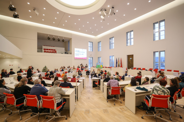 Blick in den Plenarsaal während der Podiumsdiskussion