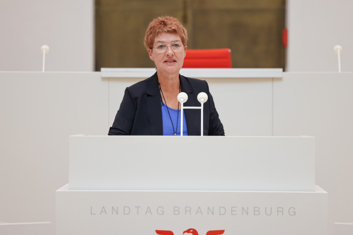 Laudatio durch die Abgeordnete Carla Kniestedt (Fraktion BÜNDNIS 90/DIE GRÜNEN)