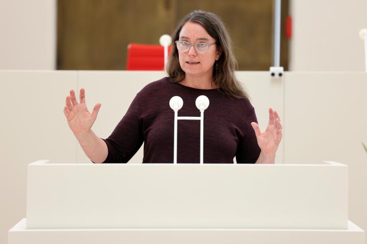 Laudatio der Abgeordneten Elske Hildebrandt (SPD-Fraktion)