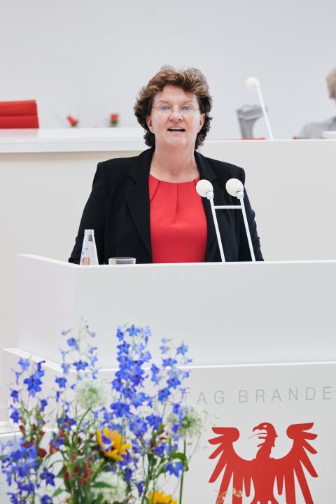 Laudatio der Landtagspräsidentin Britta Stark 