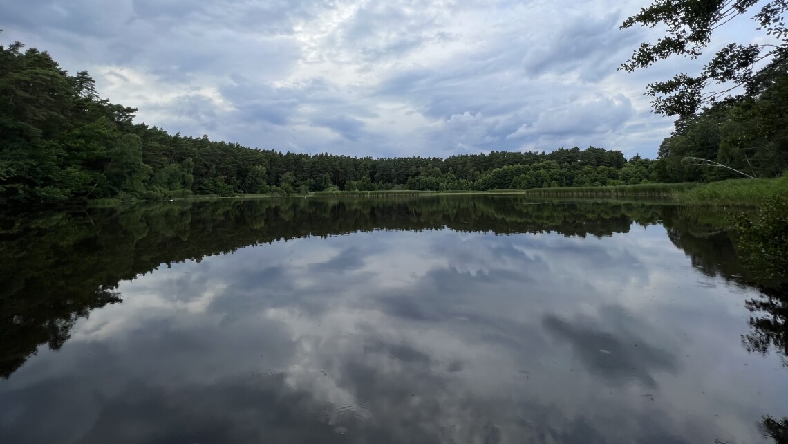 Summter Karpfenteich in Mühlenbeck, Mühlenbecker Land, Landkreis Oberhavel (Symbolbild)