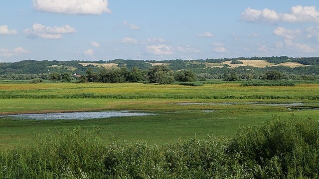 Nationalpark Unteres Odertal zwischen Stolpe und Schwedt