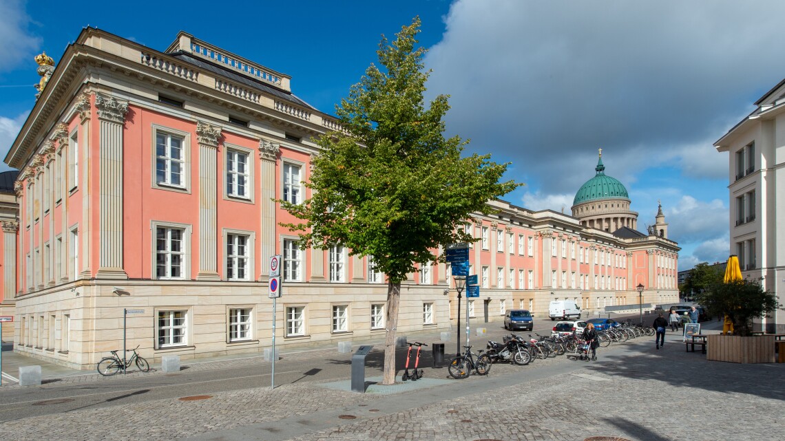 Bittschriftenlinde an der Ostseite des Landtagsgebäudes