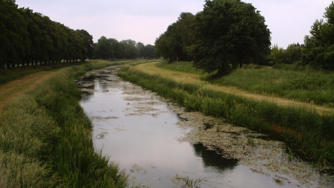 Der Fluss „Schwarze Elster“ bei Elsterwerda.