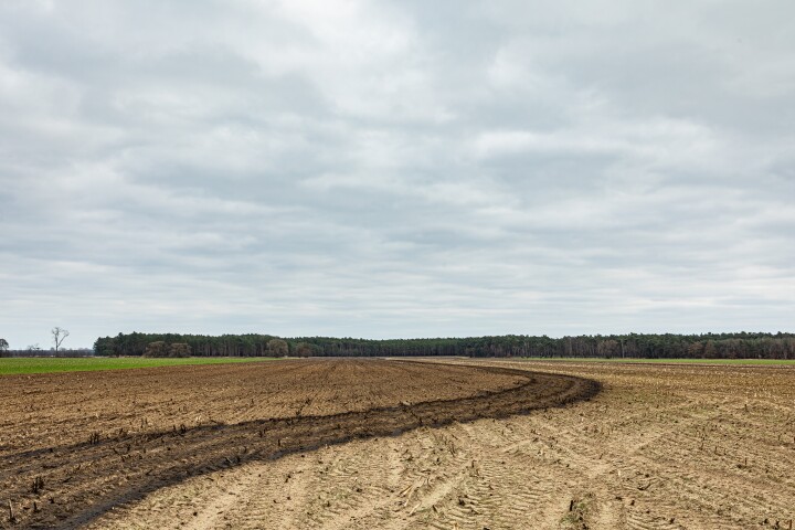 „Hinterm Hof“ in der Gemarkung Wendisch Bork 2021