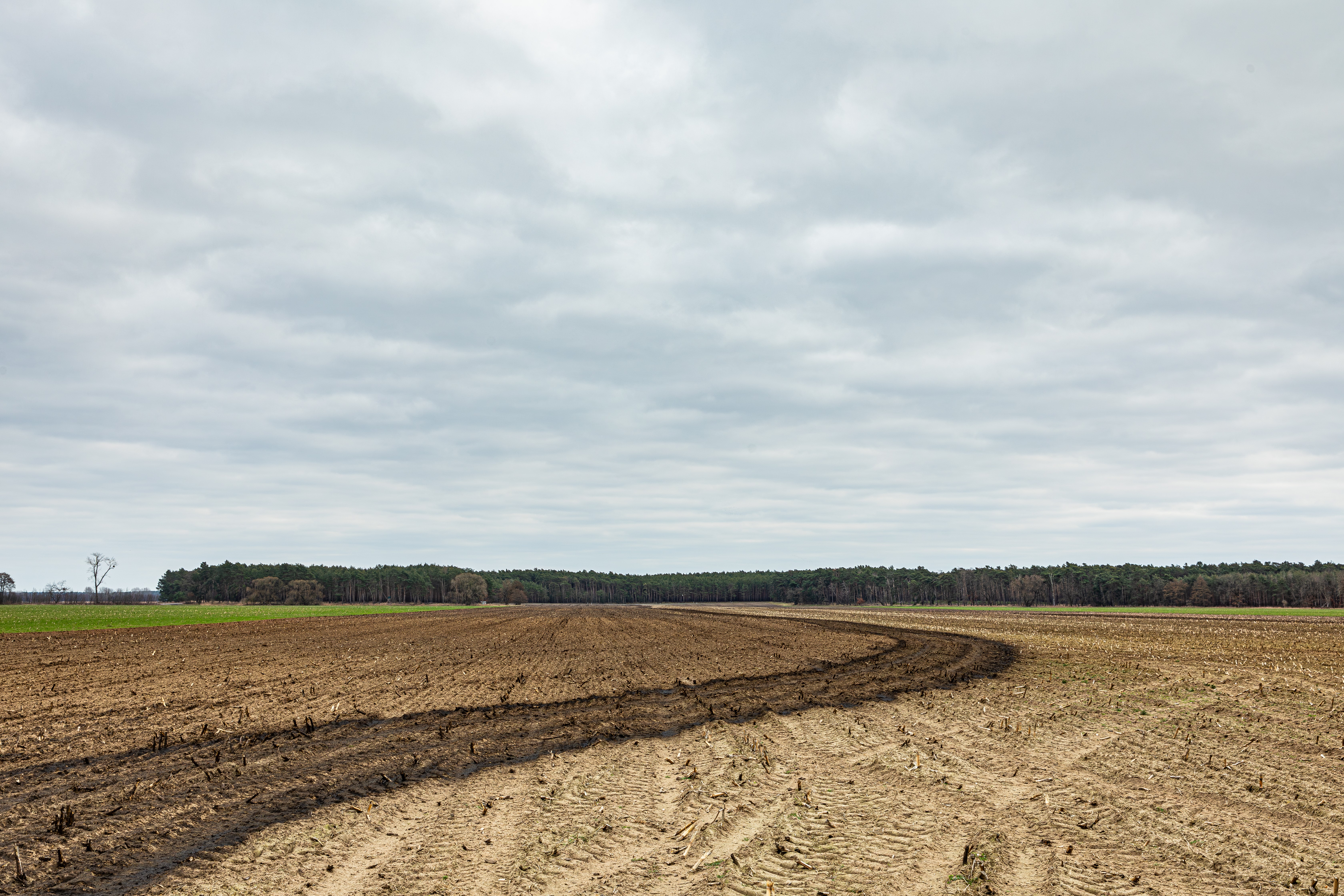 Titelfoto der Ausstellung &bdquo;Land an sich&ldquo; (28.01.2026)